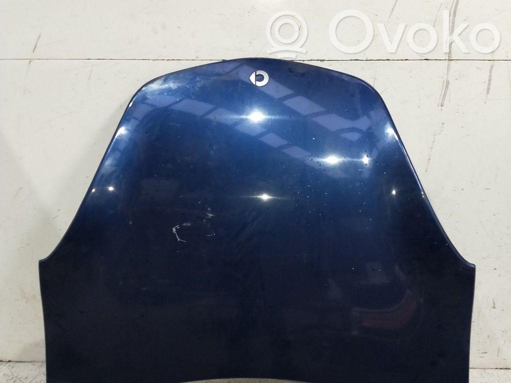 Engine bonnet/hood