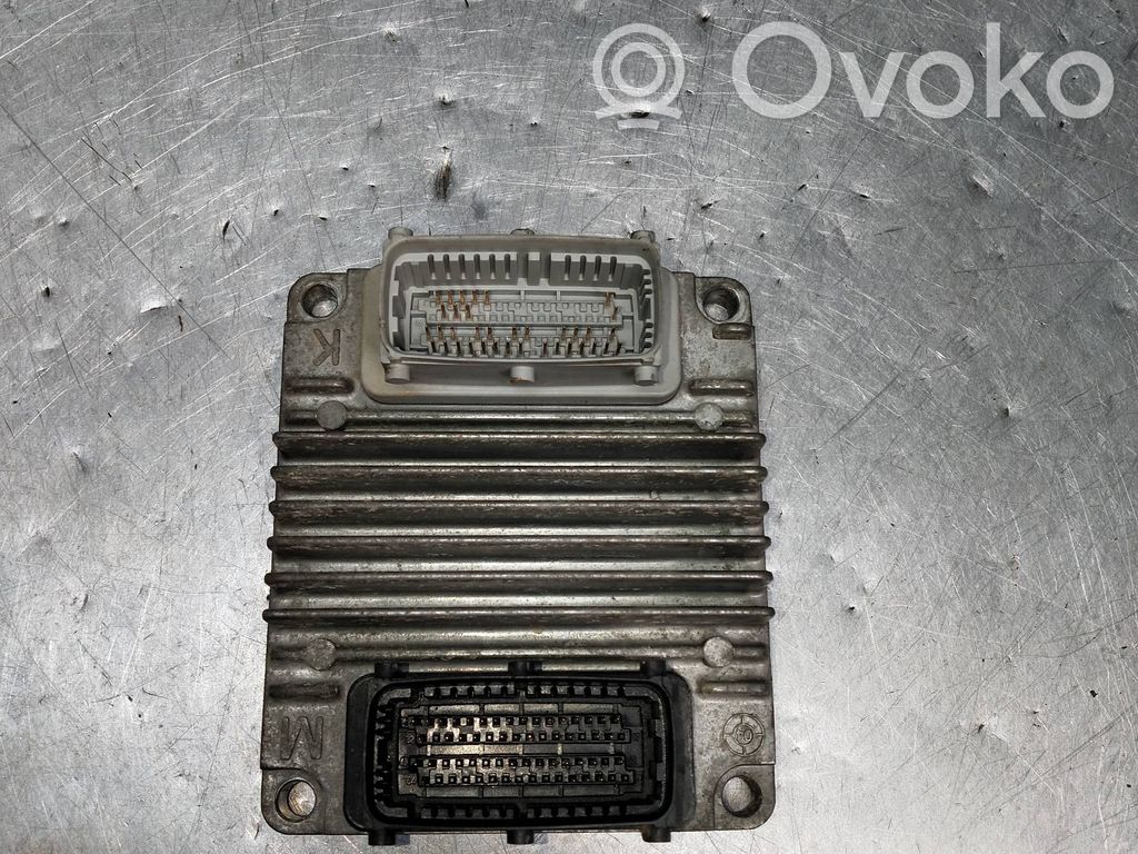 Chevrolet Aveo Engine control unit/module 