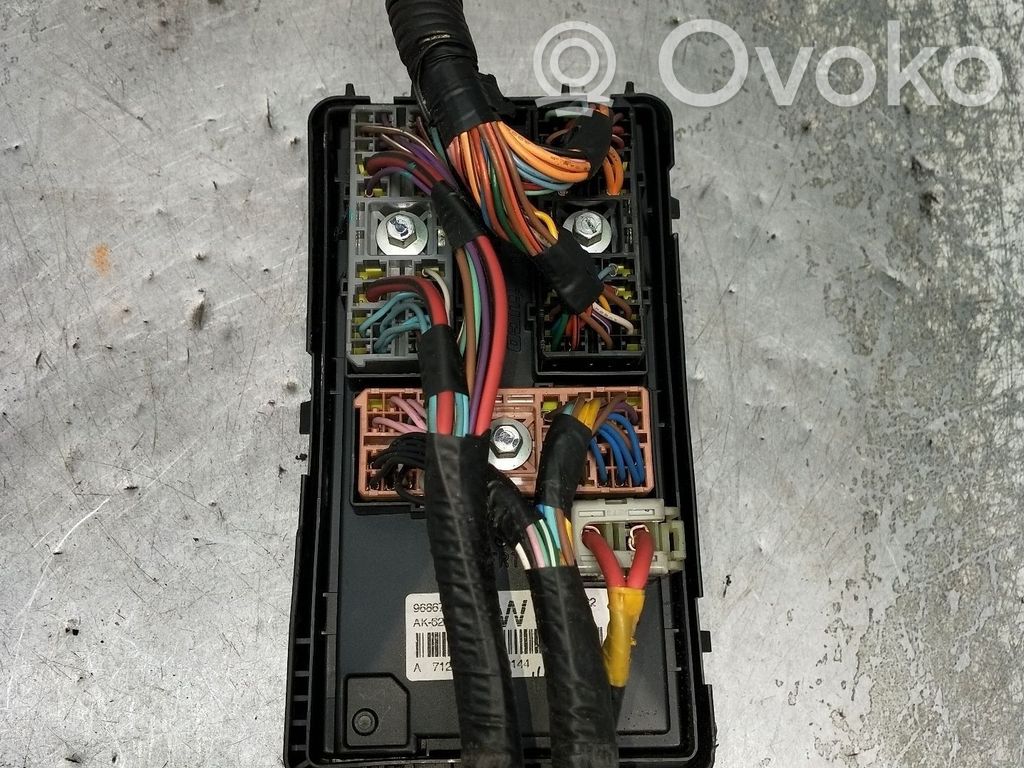 BSM Control unit   96867129