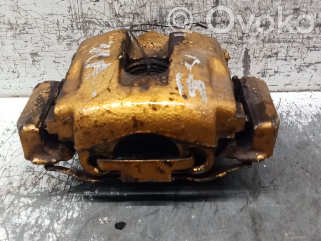 Bremszange hinten