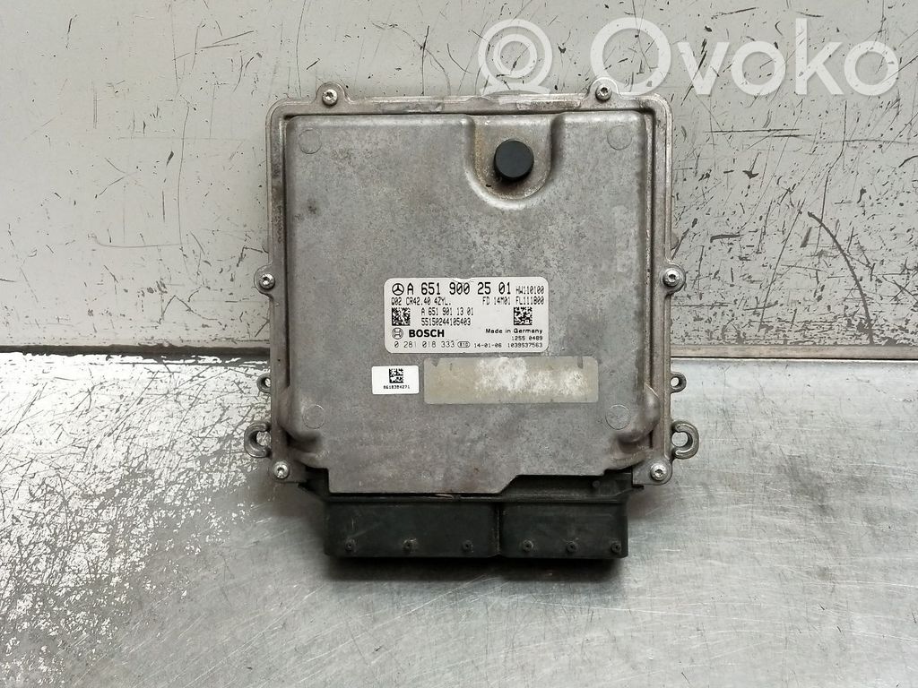 Mercedes-Benz GLK (X204) Sterownik / Moduł ECU 
