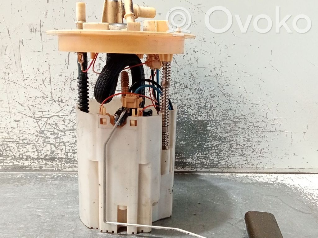 Polttoainesäiliön pumppu   E1G39H307BC,0580203158