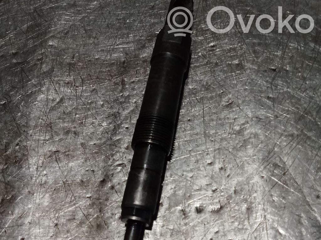 Fuel injector   009236