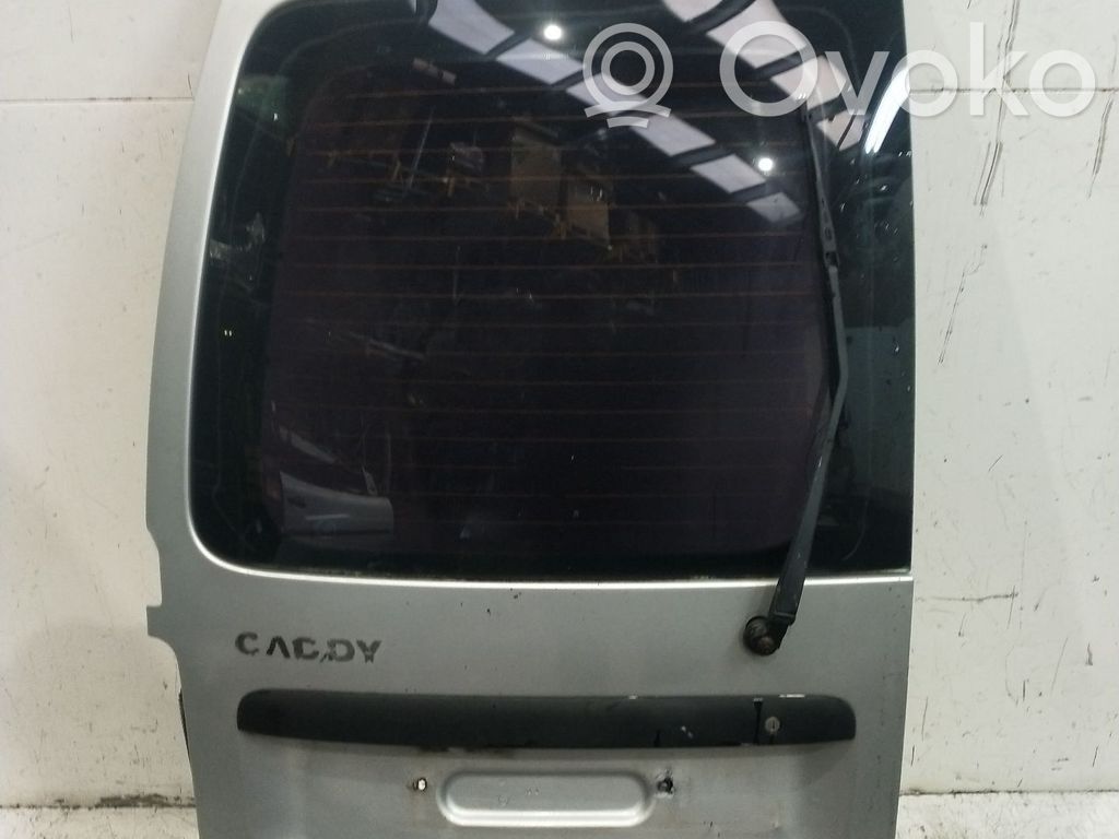 Galinės durys