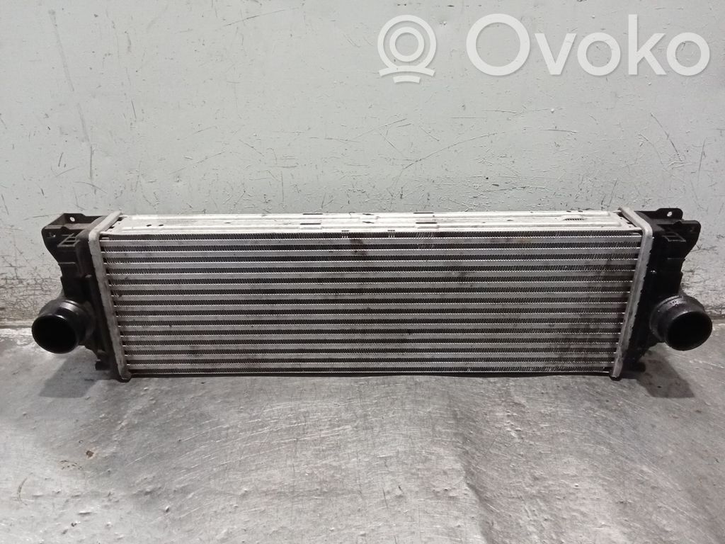 Mercedes-Benz Sprinter W906 Radiador intercooler 