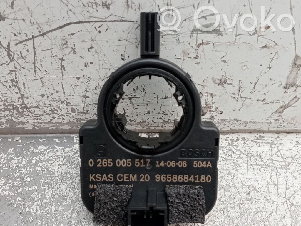 Sensor   0265005517,9658684180