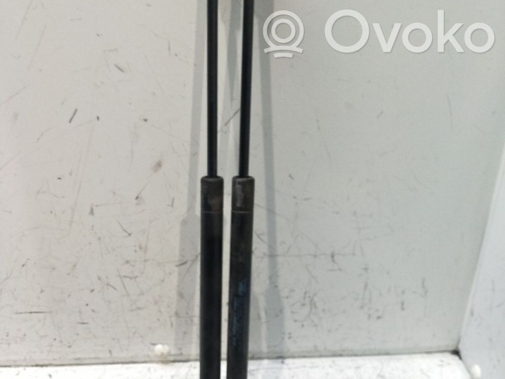 Tailgate/trunk strut/damper   9639853880