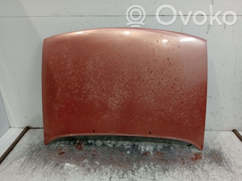 Motorhaube