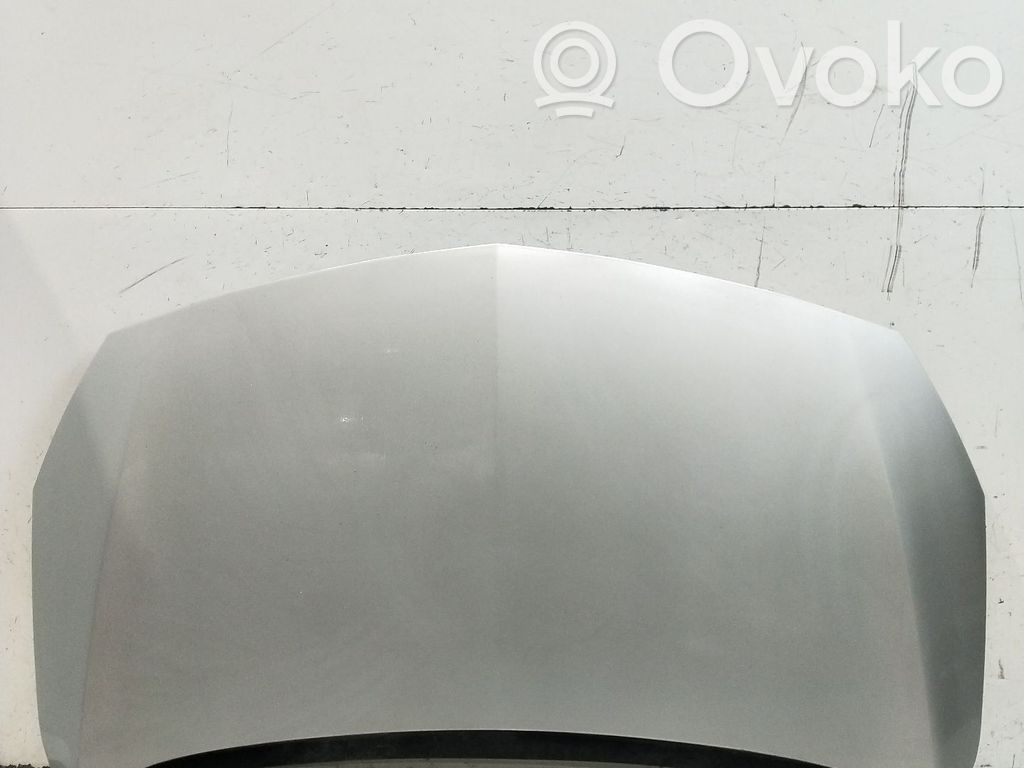Engine bonnet/hood