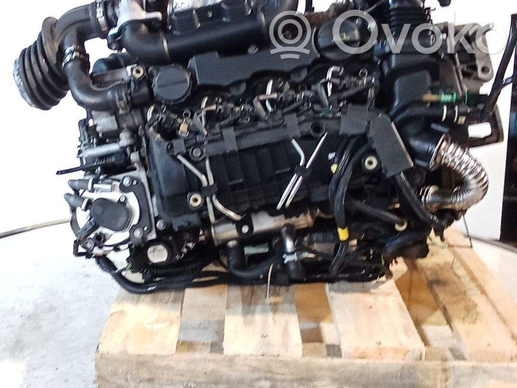 Ford Focus Motore 