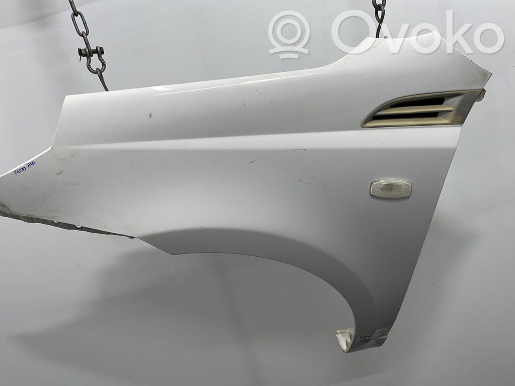 Guardabarro   95198279