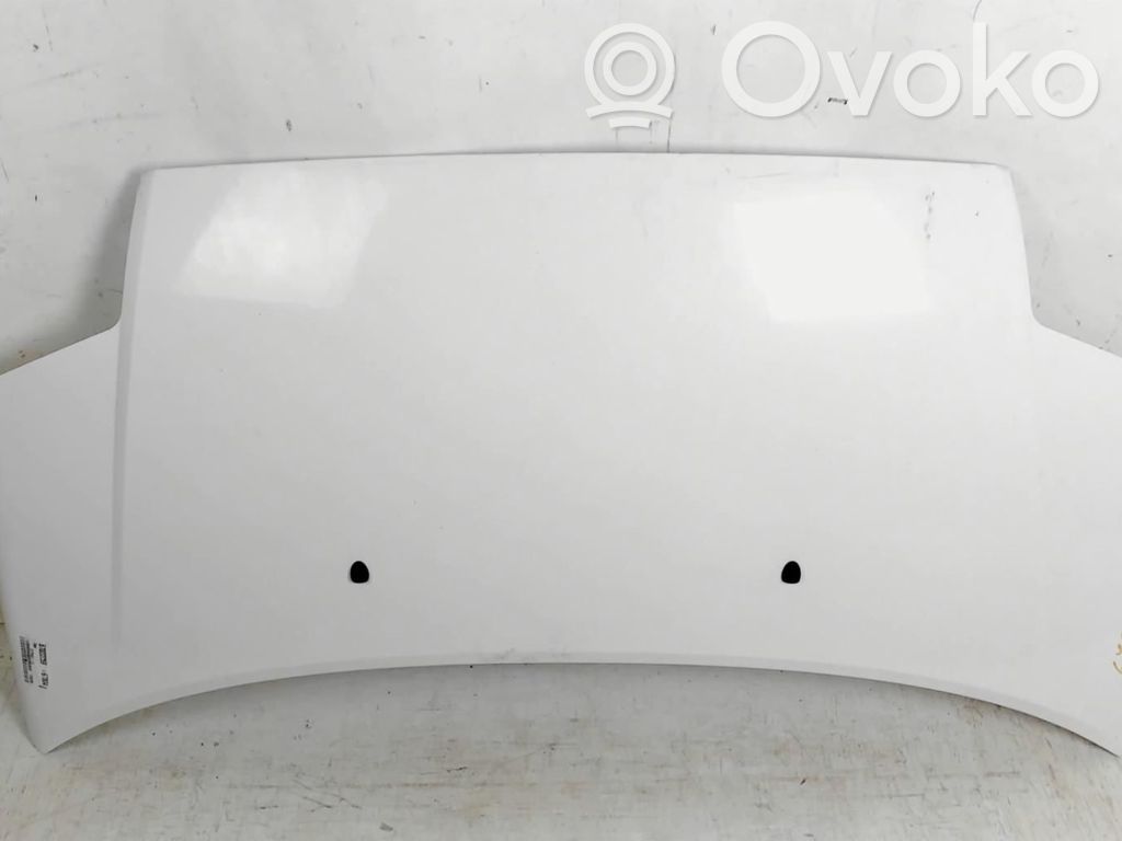 Motorhaube   7901K2