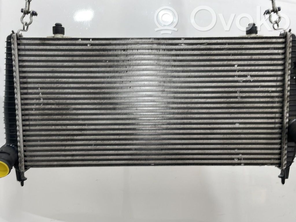 Citroen C8 Intercooler radiator 
