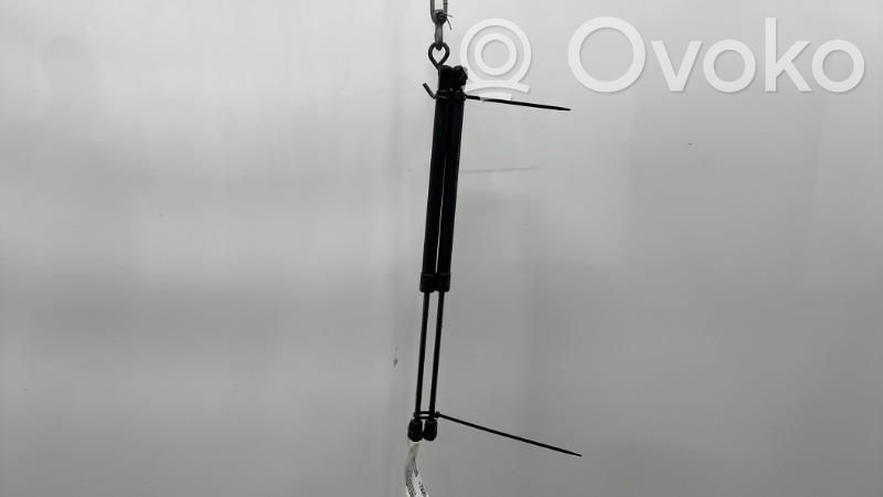 Dodge Caliber Tailgate/trunk strut/damper 