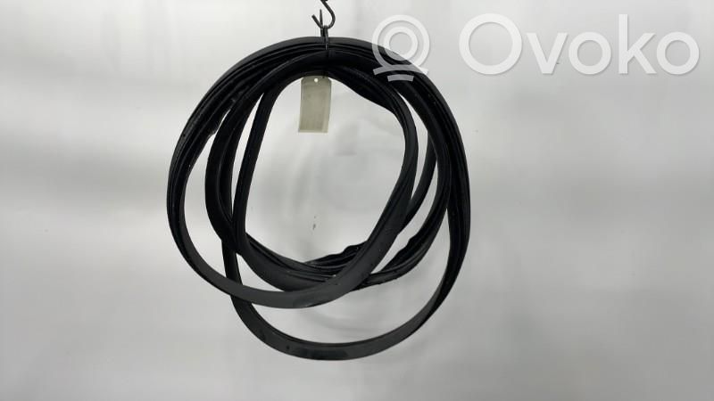 Front door rubber seal