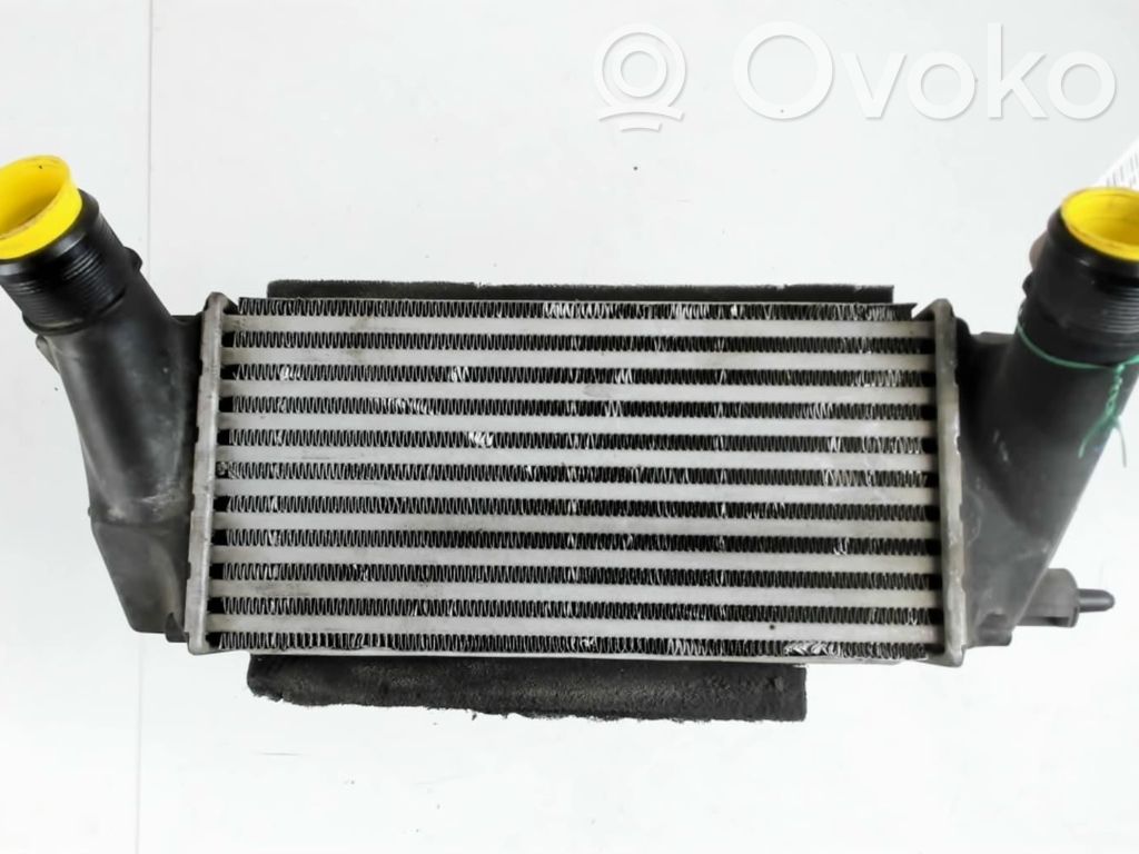 Intercooler radiator   2013451