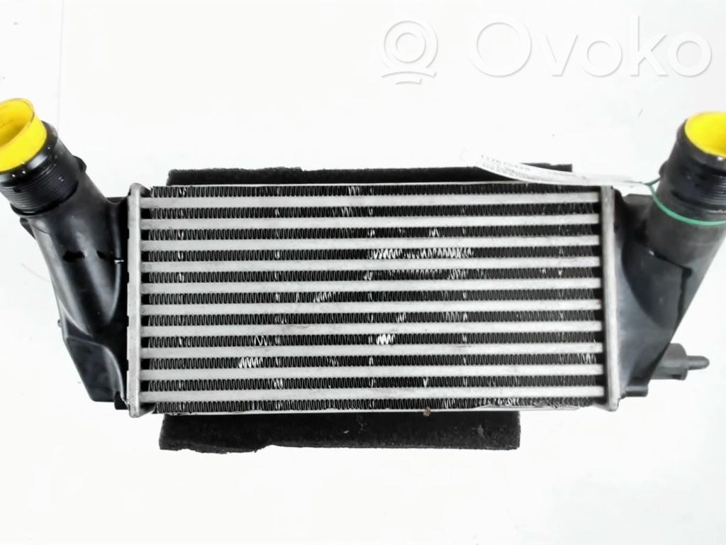 Intercooler radiator   2013451