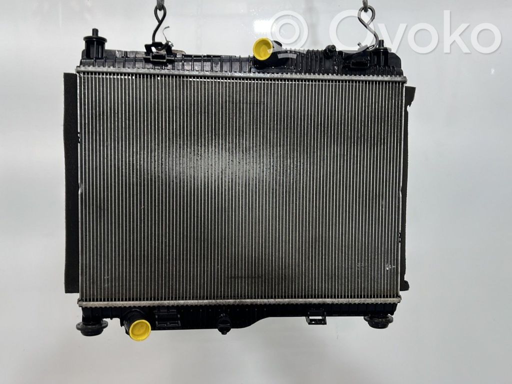Ford Ecosport Coolant radiator 