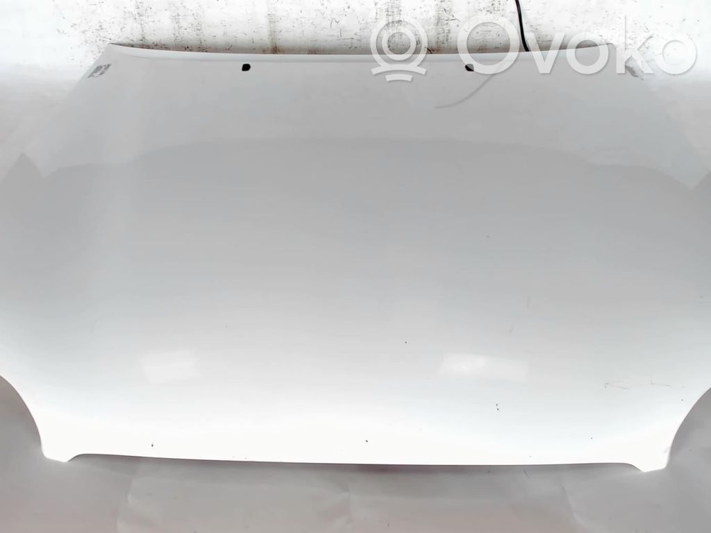 Dzinēja pārsegs (vāks)   1034481