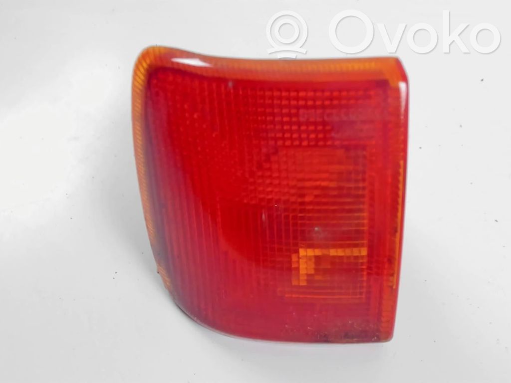 Front fender indicator light