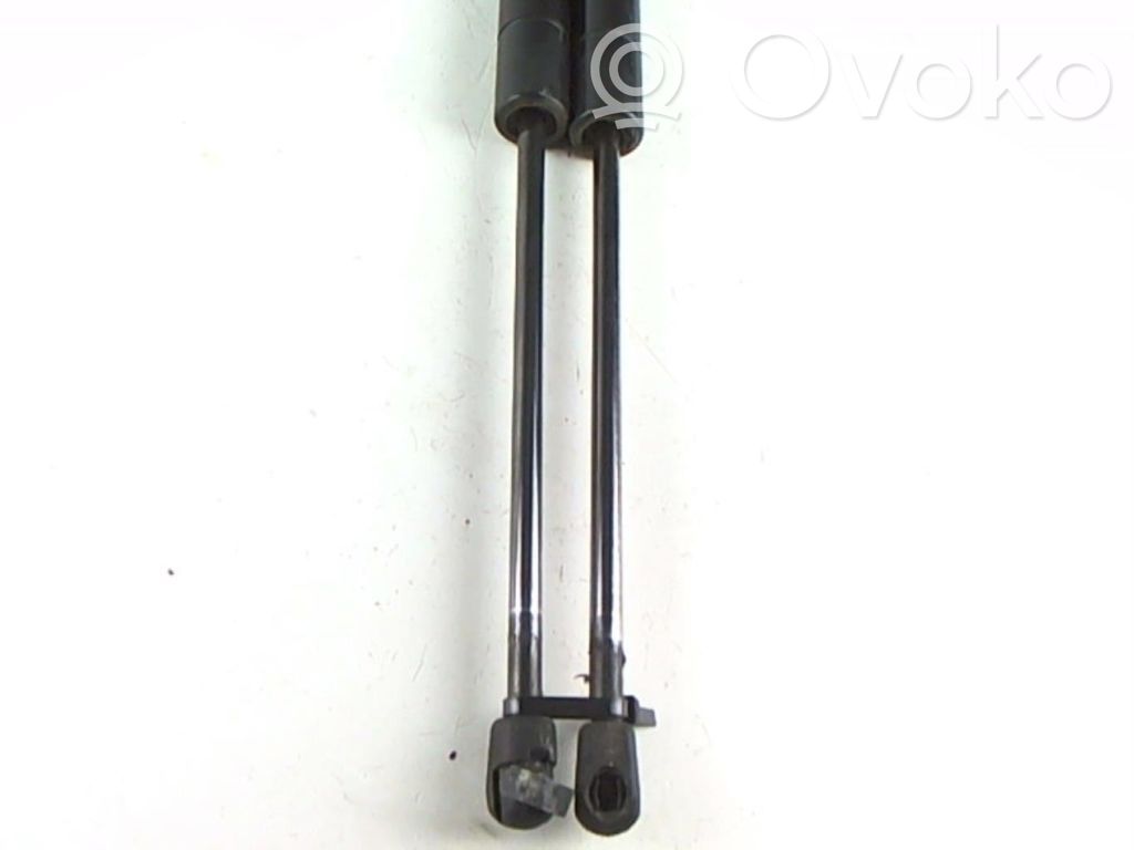 Tailgate/trunk strut/damper   1094814