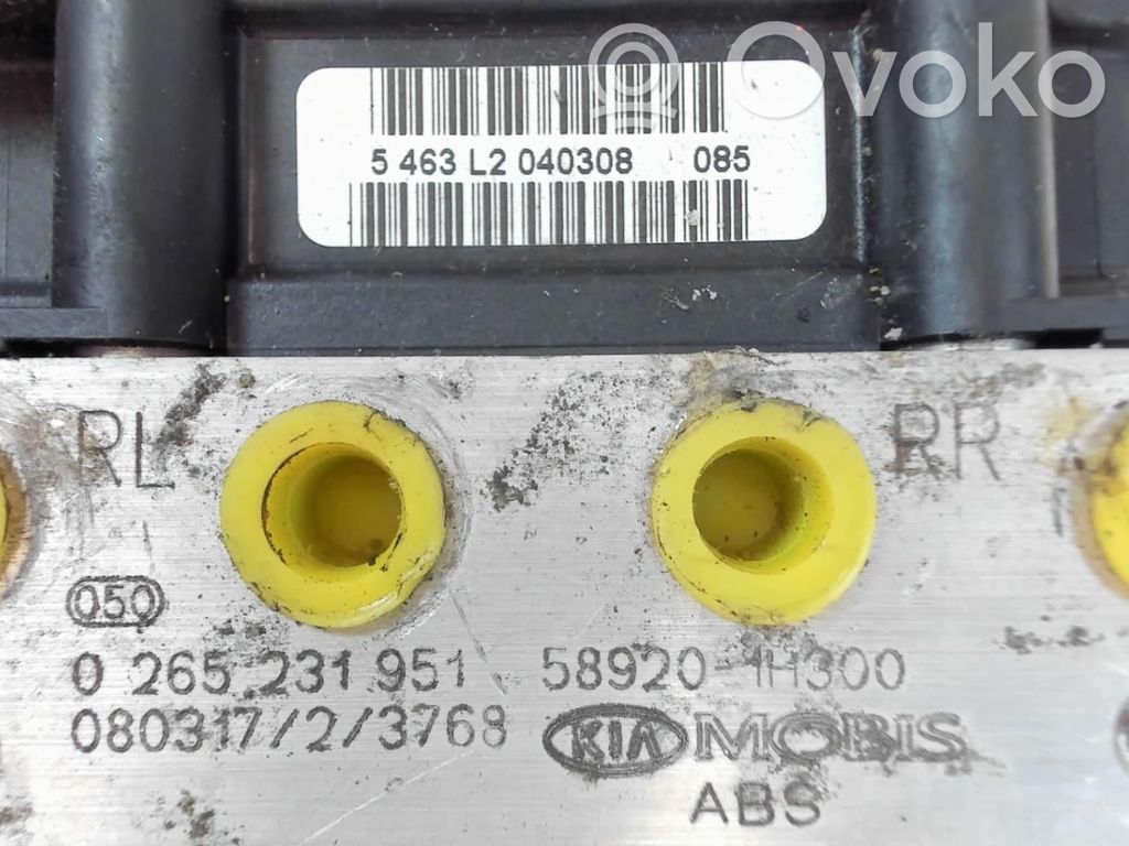 ABS Blokas   589201H6B0,0265231951