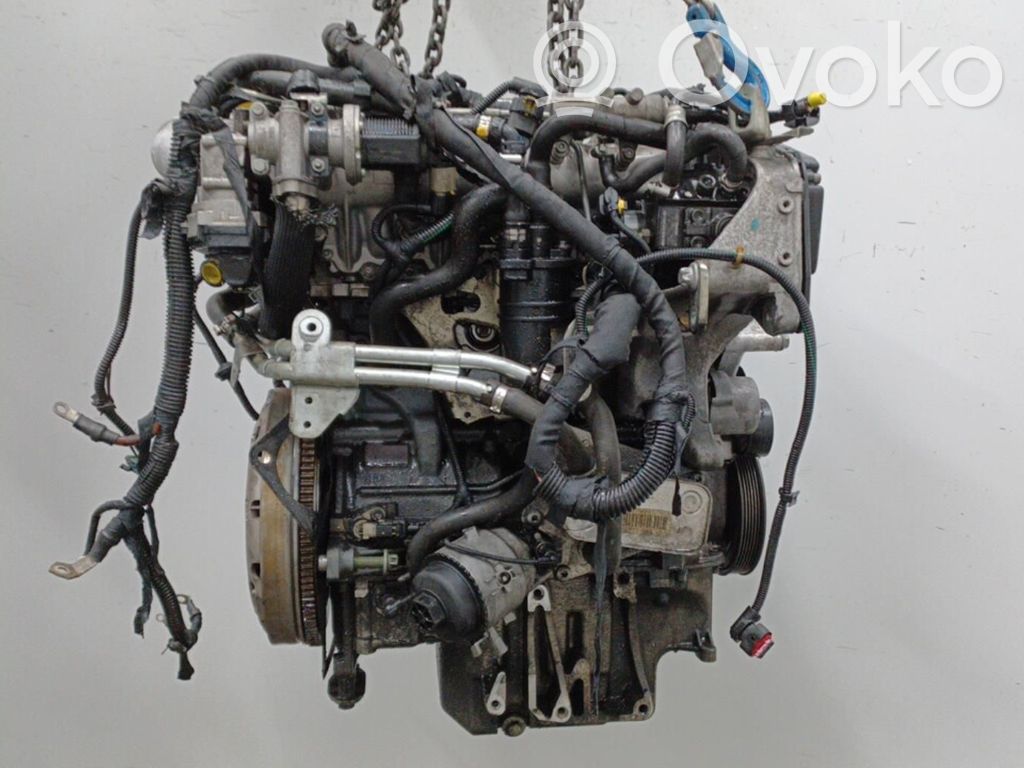 Motor   55204083