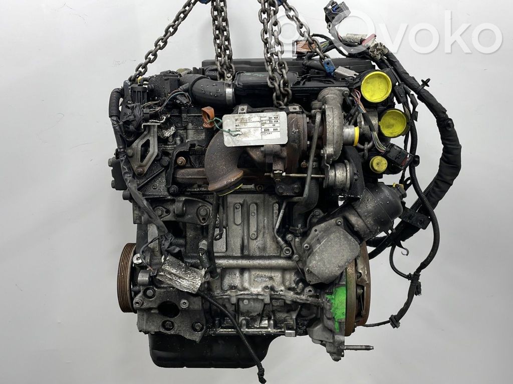 Variklis   0135FZ