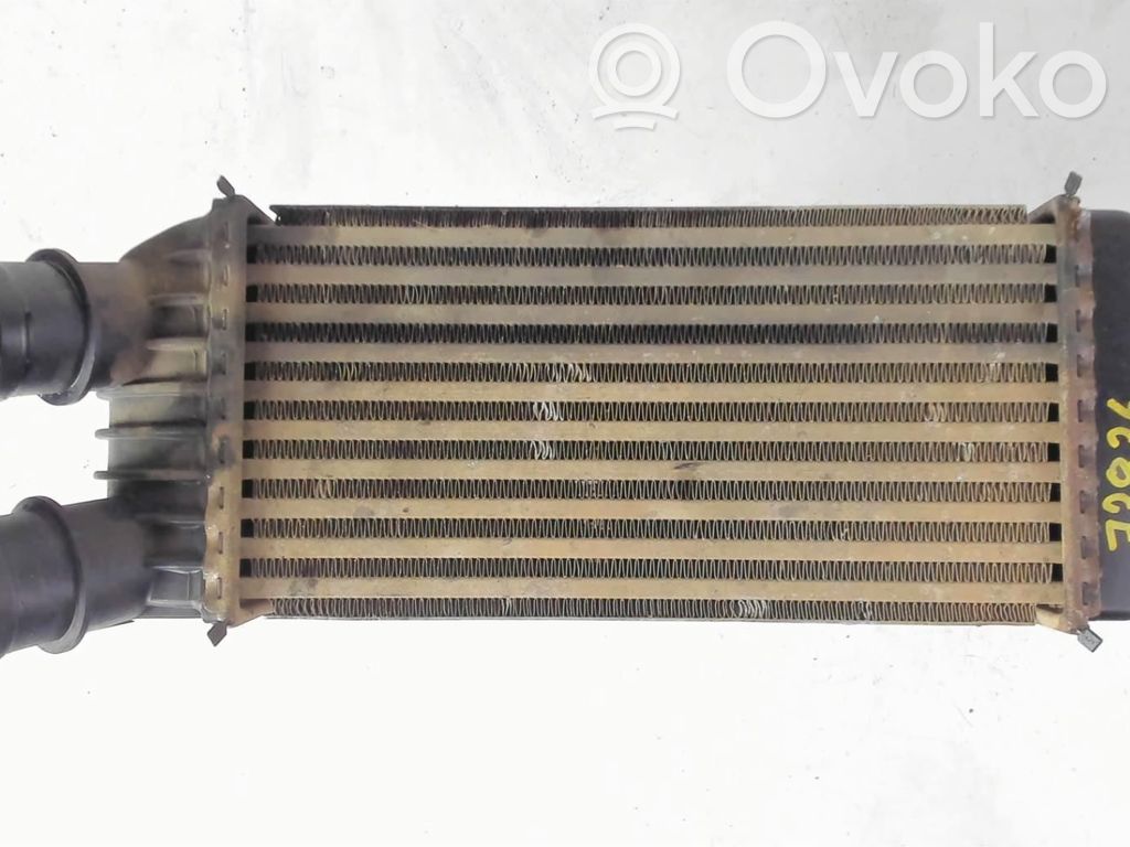 Interkūlerio radiatorius   0384K4