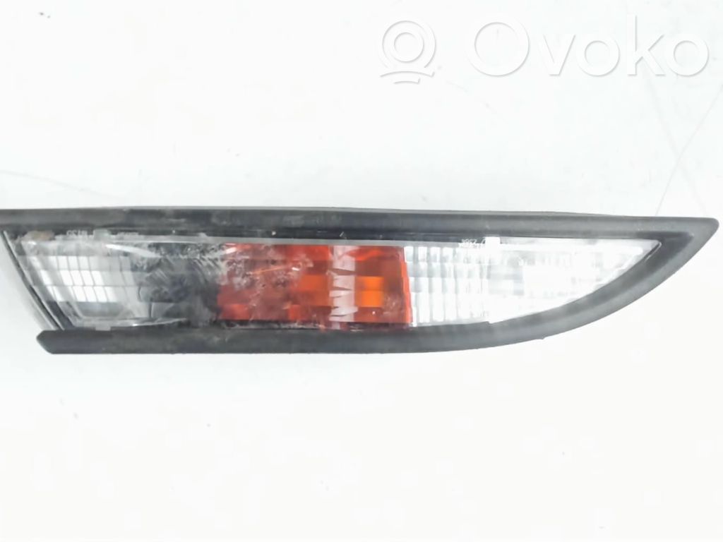 Seitenblinker   1K8953042E