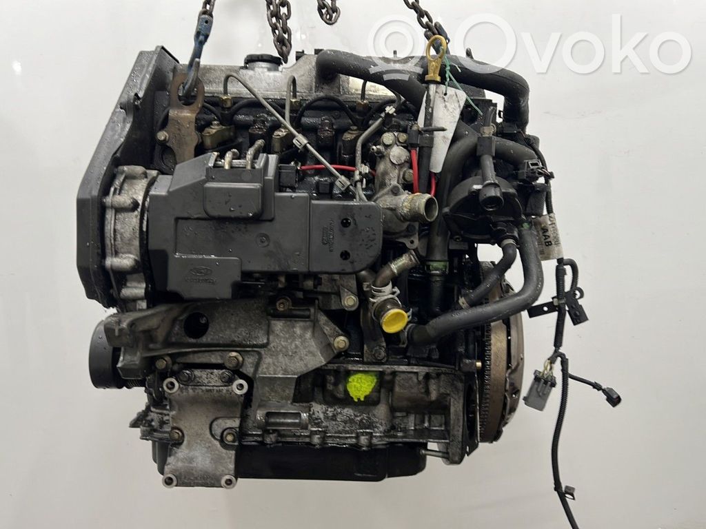 Ford Focus Engine 