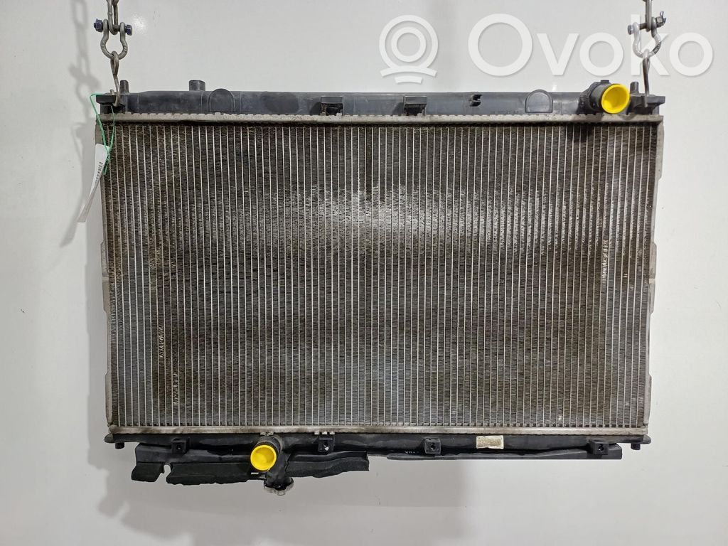 Hyundai Santa Fe Radiator lichid răcire
