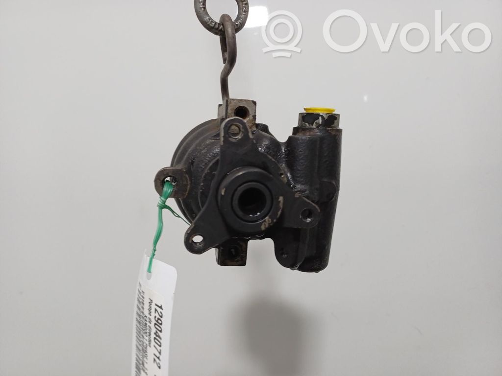 Ohjaustehostimen pumppu   491106408R