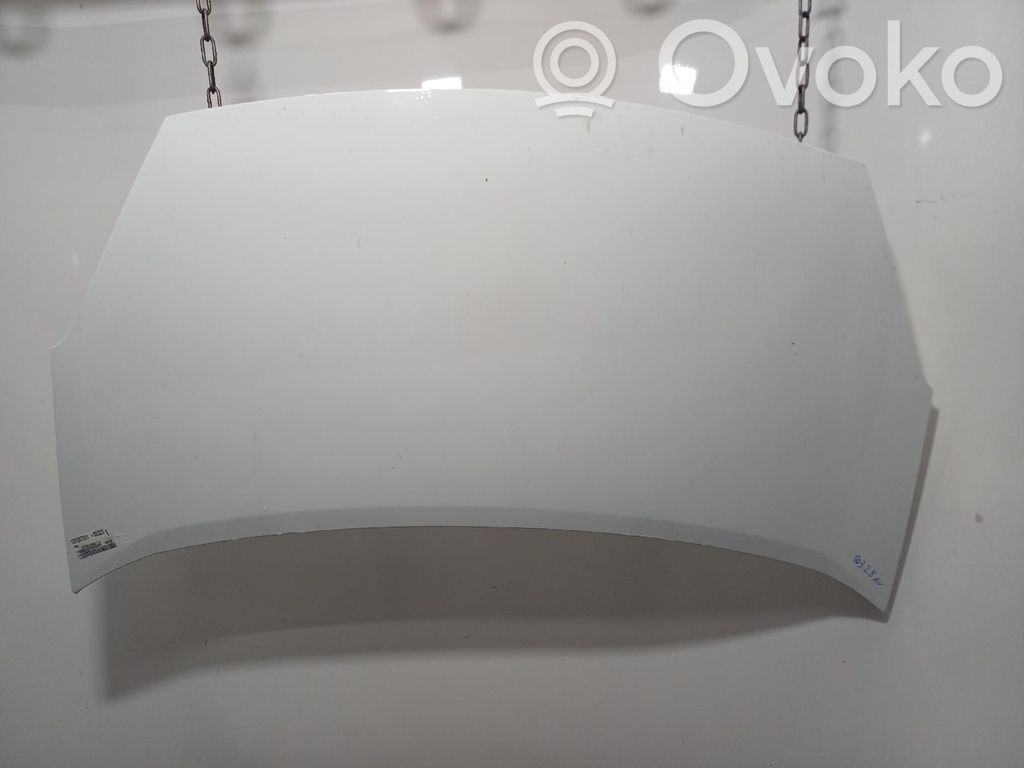 Vano motore/cofano   7901P7