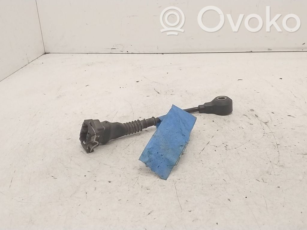 Detonacinis daviklis   1730029