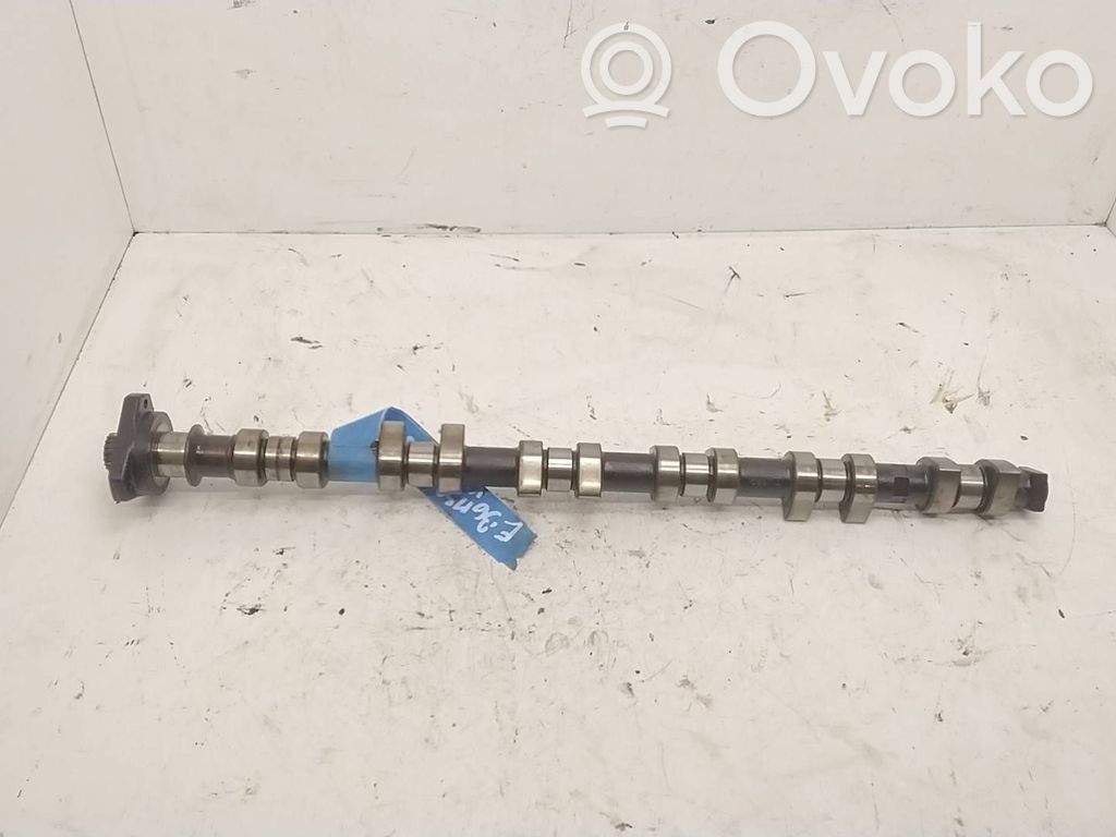Sadales vārpsta   369G