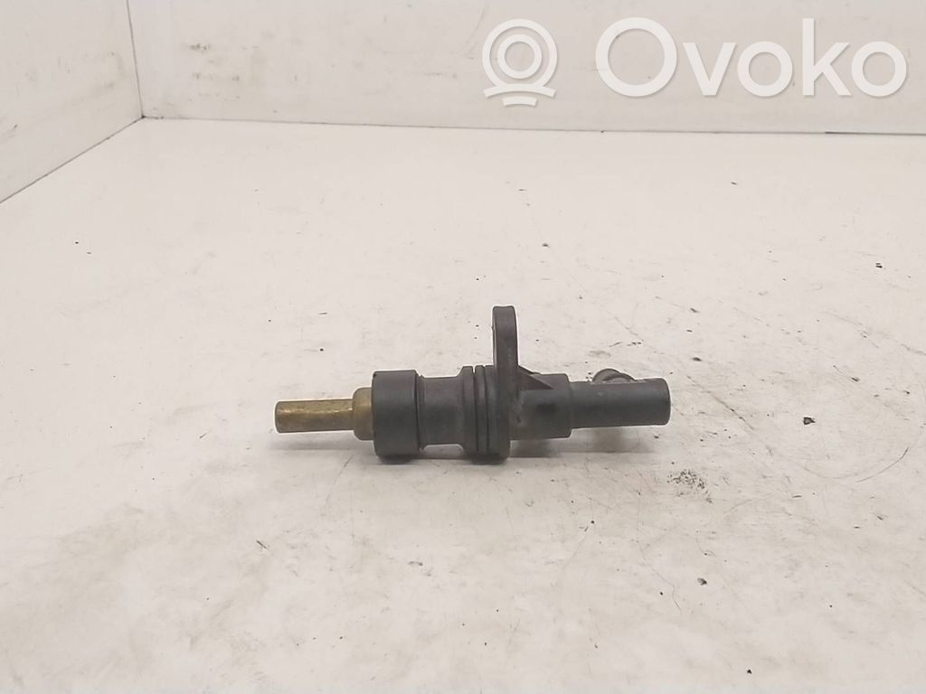 Termostatas   1730682