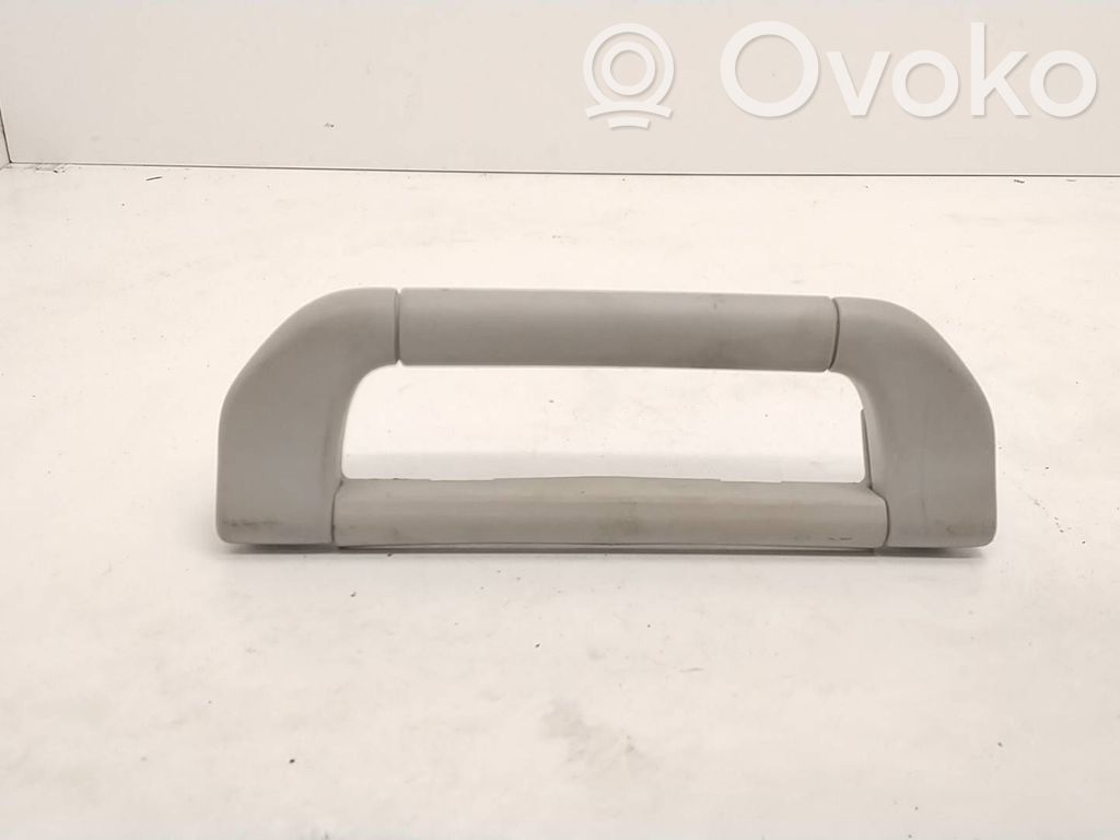 Haltegriff vorne   81789909