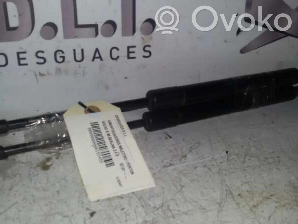 Tailgate/trunk strut/damper