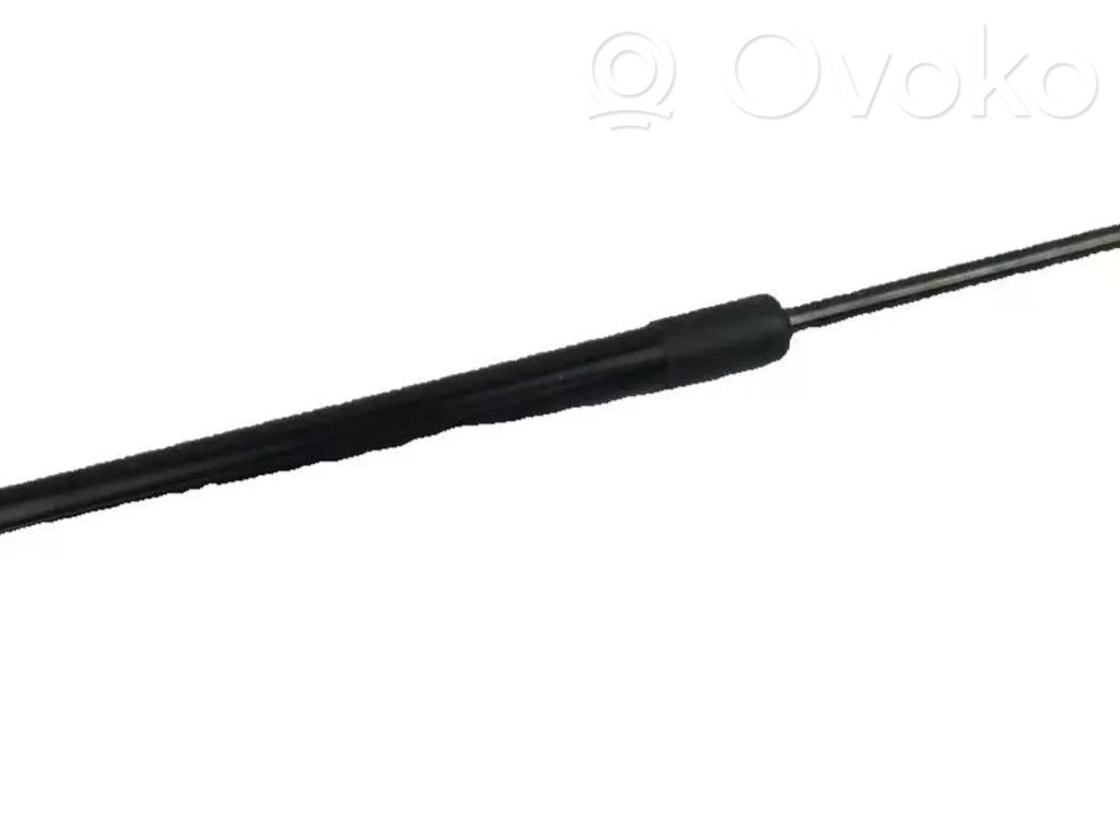 BMW i3 Tailgate/trunk strut/damper 