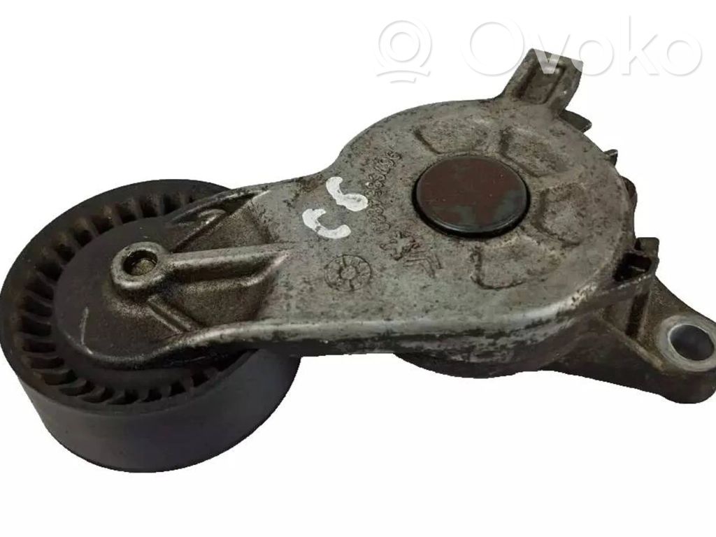 Peugeot 3008 I Napinacz paska alternatora 