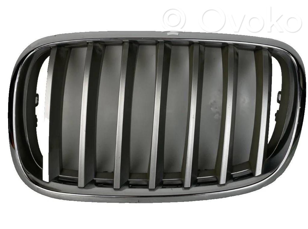 BMW X5 E70 Front bumper upper radiator grill 