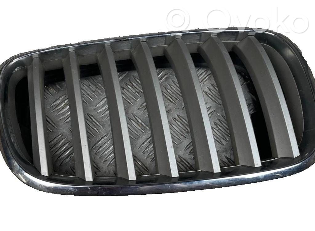 BMW X6 E71 Front bumper upper radiator grill 