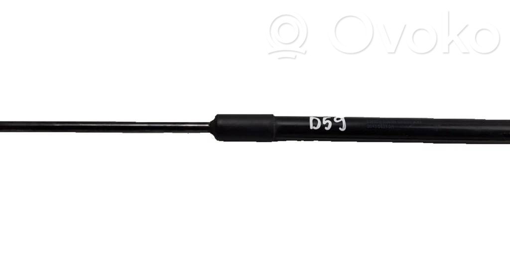 Renault Clio V Tailgate/trunk strut/damper 
