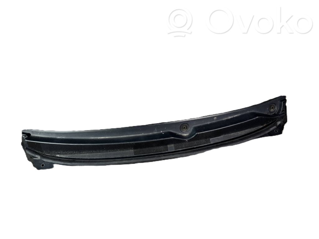 Chrysler Pacifica Moldura del limpia 