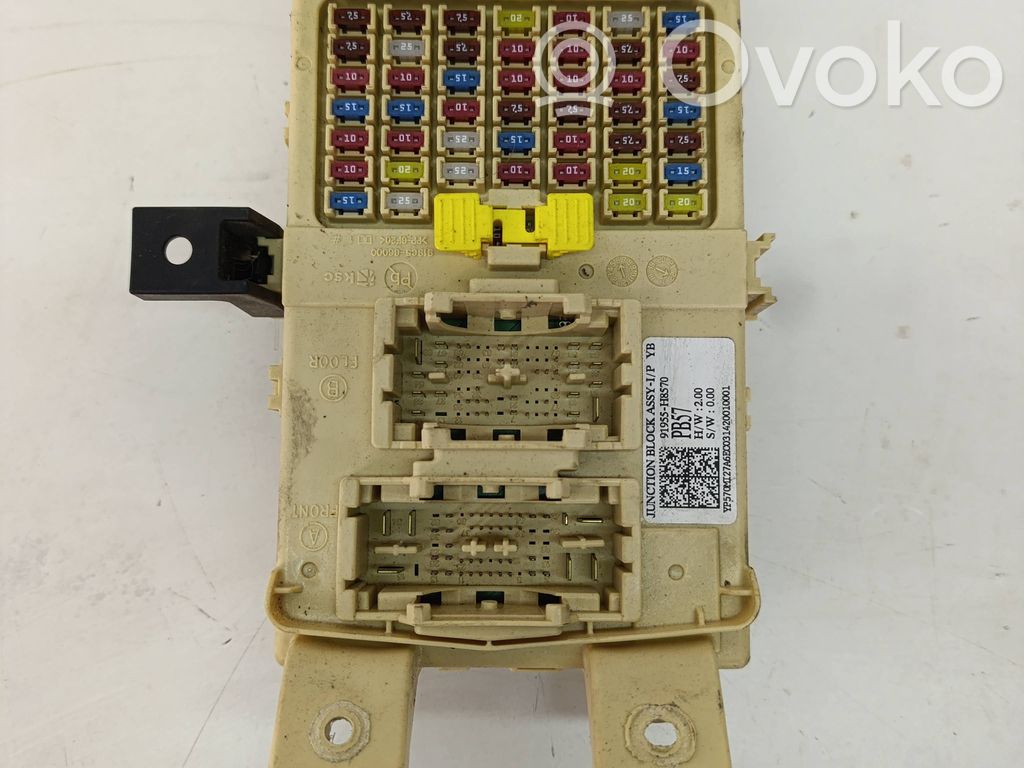 BSM Control unit   91955H8570