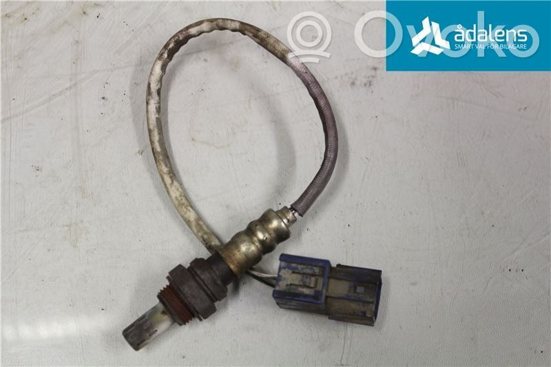 Sonde lambda   OZA554N9