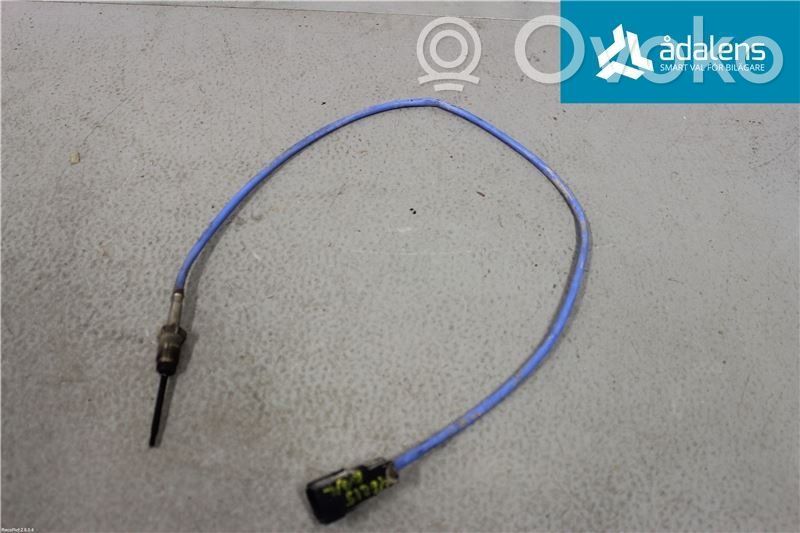 Abgastemperatursensor   1698639,AV4112B591CA