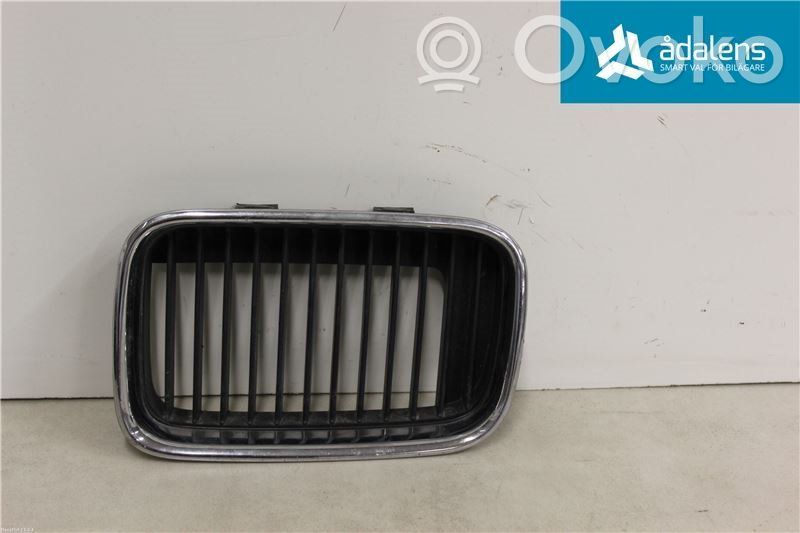 Front bumper lower grill   51138195151