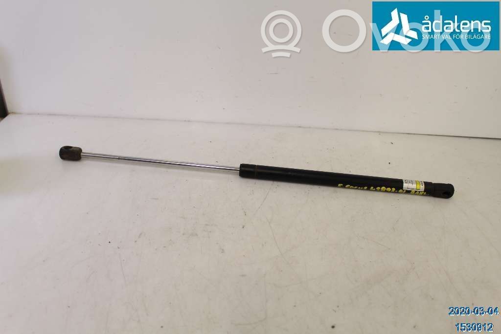 Tailgate strut   1093705